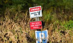 Atak psów pod Zieloną Górą. Właściciel nie przyznał się do winy