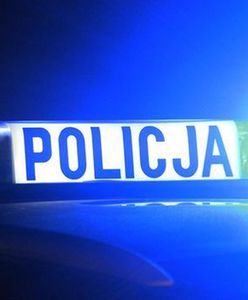 Wypadek w Krasnymstawie na DK17. Ranni uciekli w pole