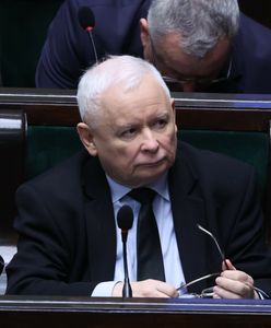 "PiS przeżyje pułapkę"? Nowy sondaż partyjny