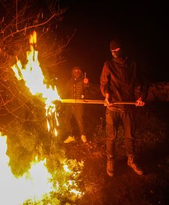 To się działo w nocy. Waszyngton wściekły. "Odrażające"