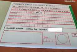 Wysoki mandat za jazdę chodnikiem. Potrącił kobietę