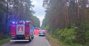 Tragiczny wypadek. Auto zderzyło się z łosiem, dwie osoby zginęły