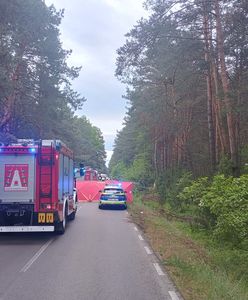 Tragiczny wypadek. Auto zderzyło się z łosiem, dwie osoby zginęły