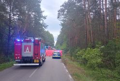 Tragiczny wypadek. Auto zderzyło się z łosiem, dwie osoby zginęły