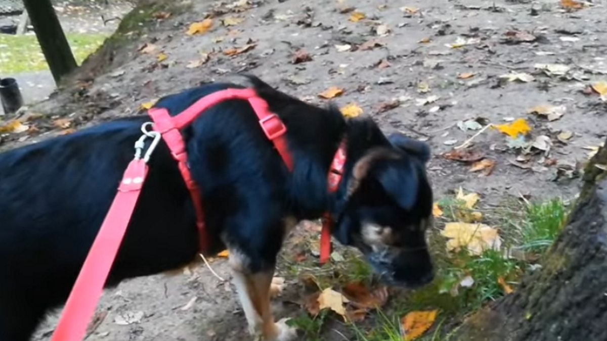 Zdjęcie ilustracyjne.