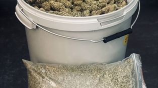 Nysa: Cztery kilogramy marihuany w wiadrach. Domowy plantator zatrzymany, grozi mu 20 lat więzienia