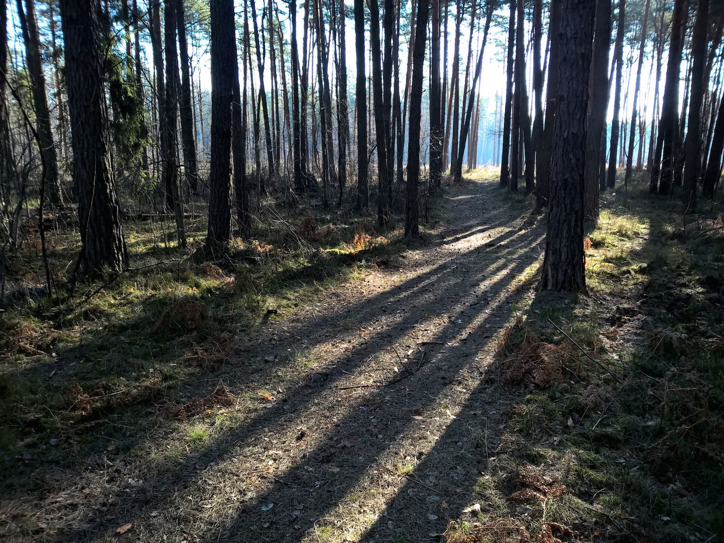 Lumia 930 - test fotograficzny 11