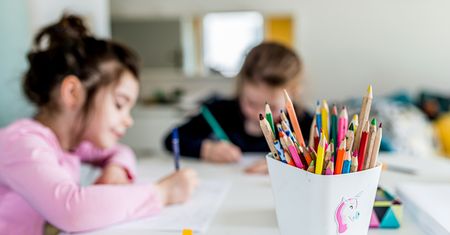 Neuroplastyczność – ćwiczenia, rodzaje i rola