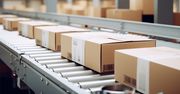Black Week kluczową szansą strategiczną dla polskich firm e-commerce