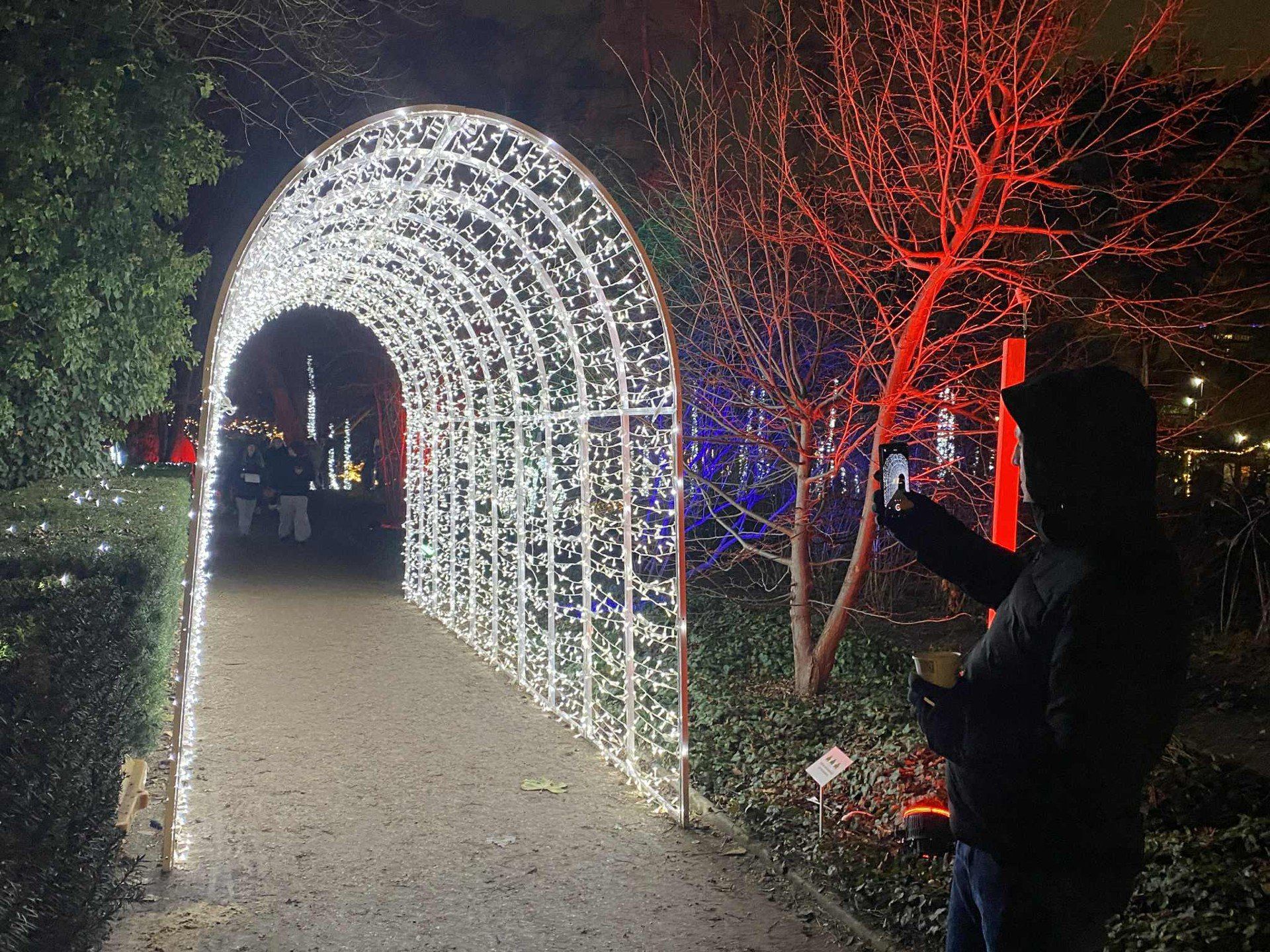 Iluminacje w ogrodzie botanicznym