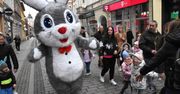 Inowrocław: Jarmark Wielkanocny 2026. Zając, magik i czekoladowe jajka