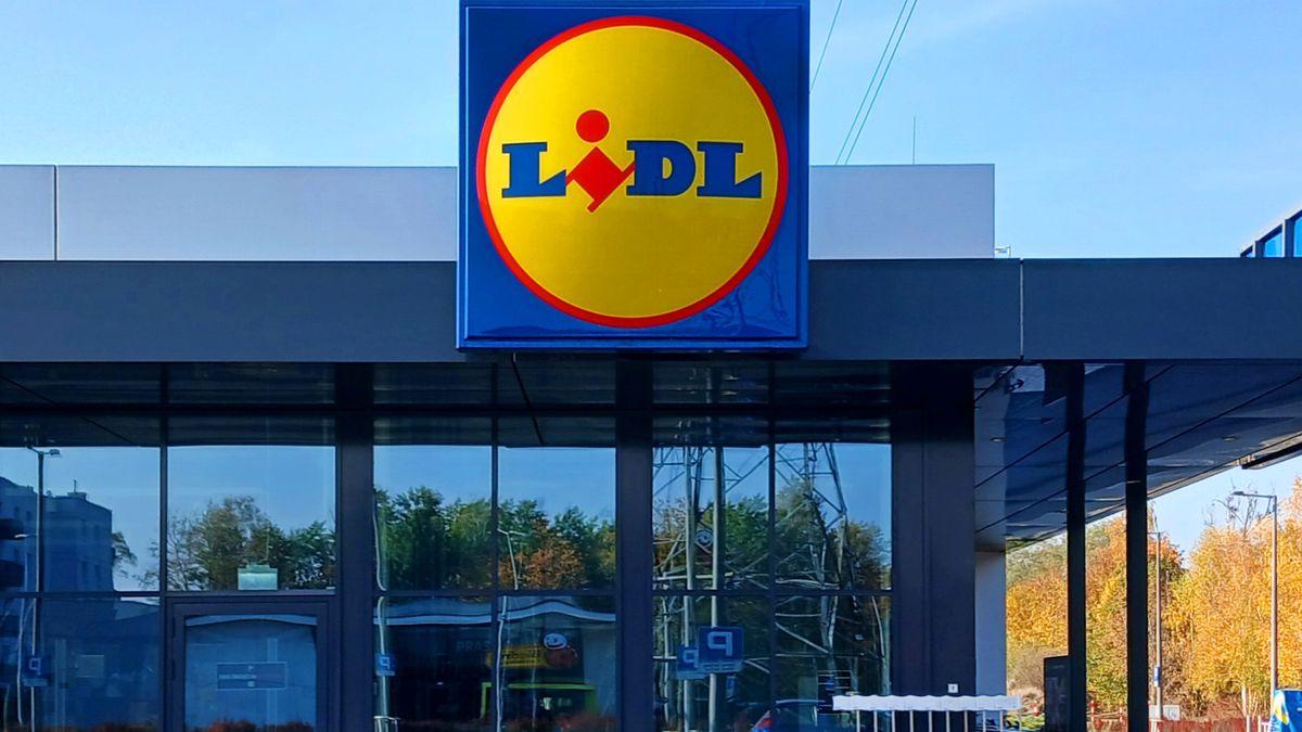 Promocje w Lidlu od 12 do 14 stycznia.