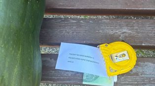 Niezwykła niespodzianka dla kuriera. Widok zwalił go z nóg
