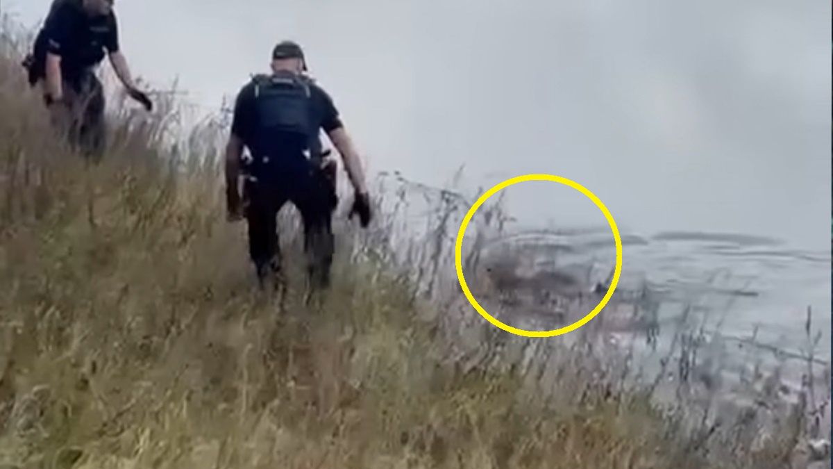 Sarenka walczyła o życie, akcja ratunkowa została nagrana.