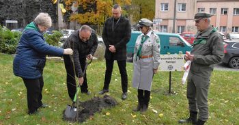 Inowrocław: Na Skwerze Sybiraków  posadzono Harcerskie Drzewa Pamięci