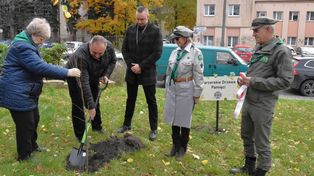 Inowrocław: Na Skwerze Sybiraków  posadzono Harcerskie Drzewa Pamięci