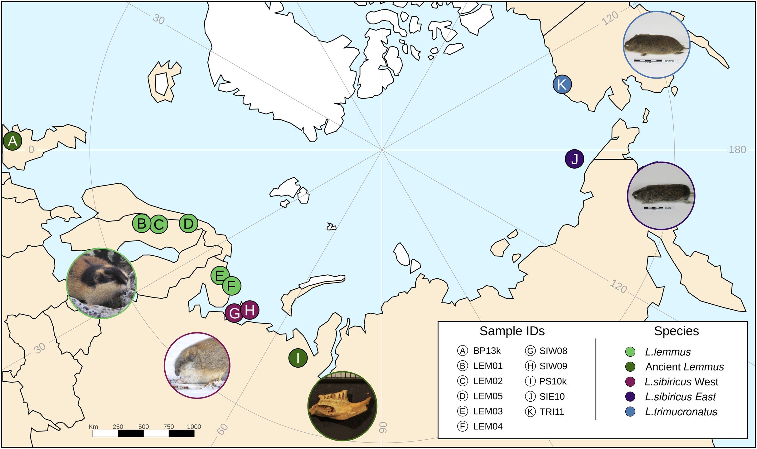 Lokalizacje geograficzne próbek (PNAS)
