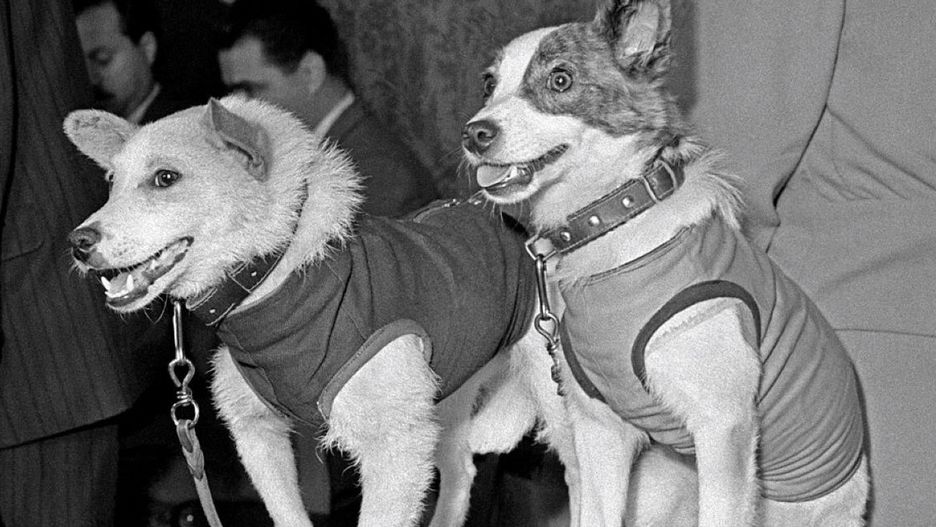 Belka i Strelka