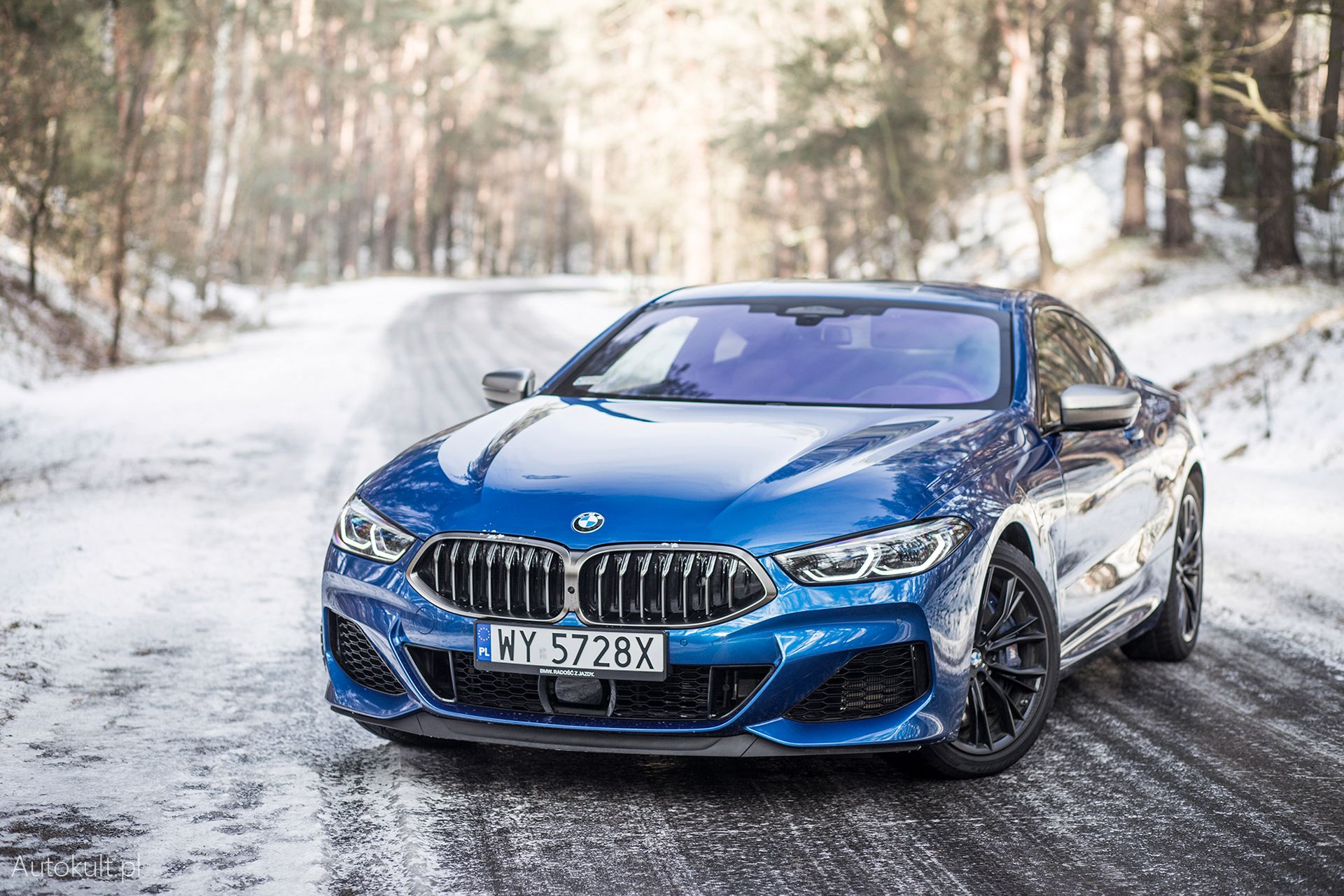 BMW M850i xDrive (2019) (fot. Mateusz Żuchowski)
