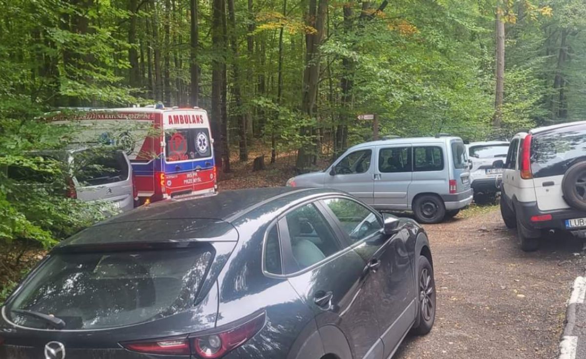 las, grzybiarze, karetka Pokazano zdjęcie z lasu. Dramatycznie apelujemy