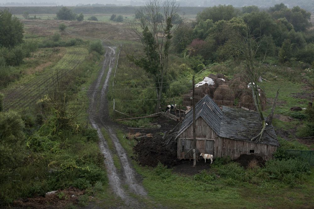 „Jak najdalej od ludzi” - fotograficzna historia tułaczki z rosyjskiej niewoli do domu w Polsce 24