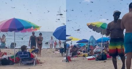 Pojawiły się nagle. Zmasowany atak. Panika na plaży w USA
