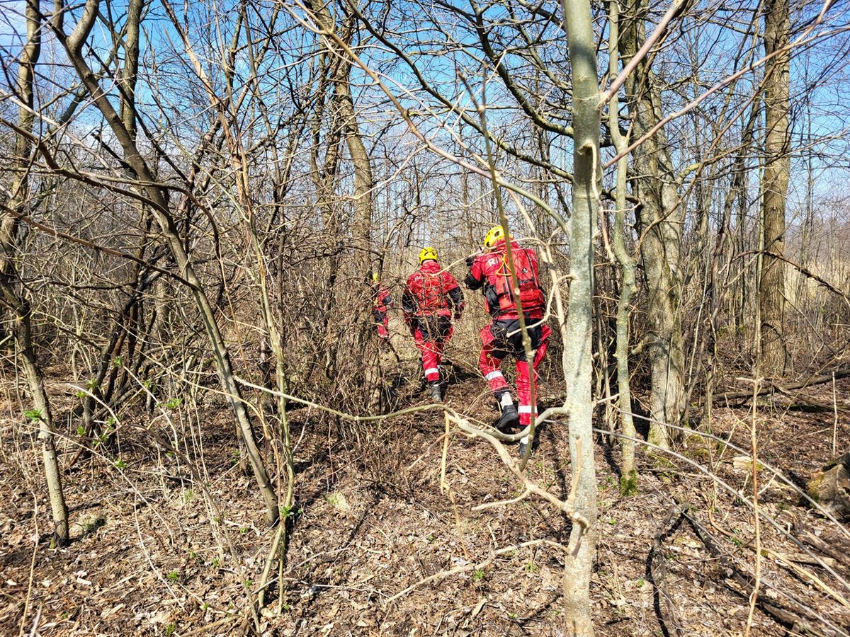 Poszukiwania zaginionej Jowity Zielińskiej