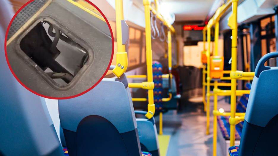 Podróżni nie spodziewali się takiej niespodzianki we wnętrzu autobusu 