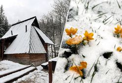 Wróciła zima. Kilka województw na mapie. Zakopane całkowicie białe