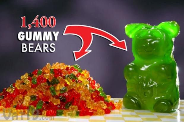2,5-kilogramowy żelkowy miś (wideo) 2