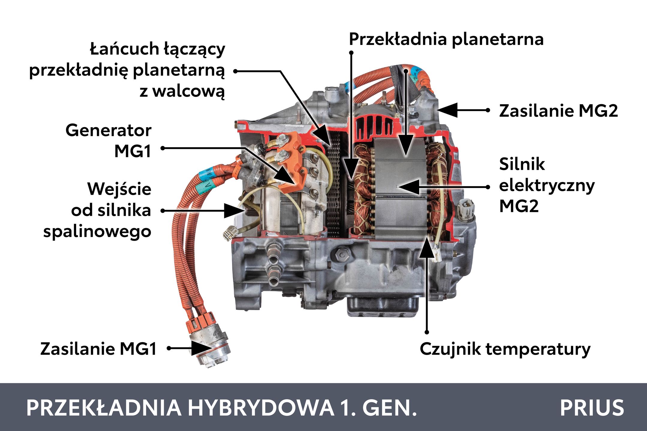 Zdjęcie ilustracyjne do artykułu