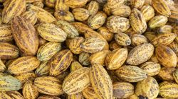 Częste infekcje, problemy z układem kostnym i choroby skóry? Być może to niedobór miedzi