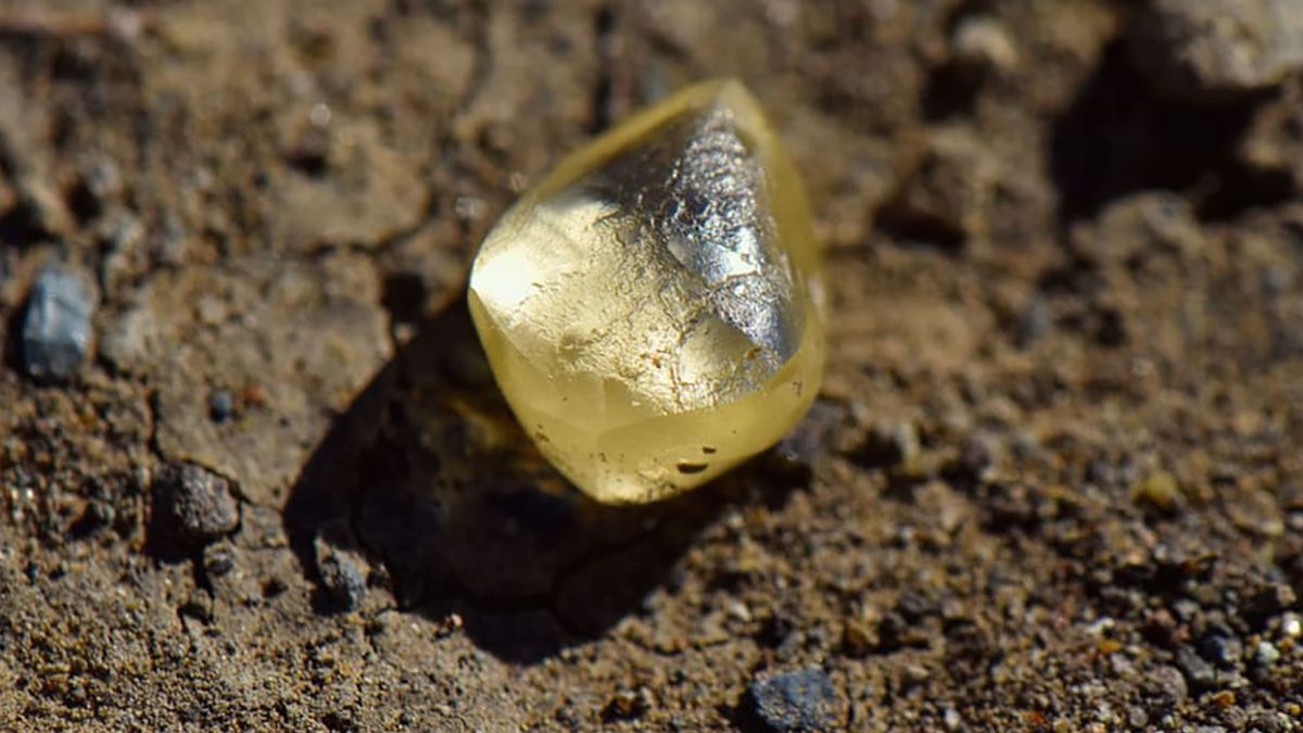 Para Amerykanów znalazła w ziemi drogocenny kamień