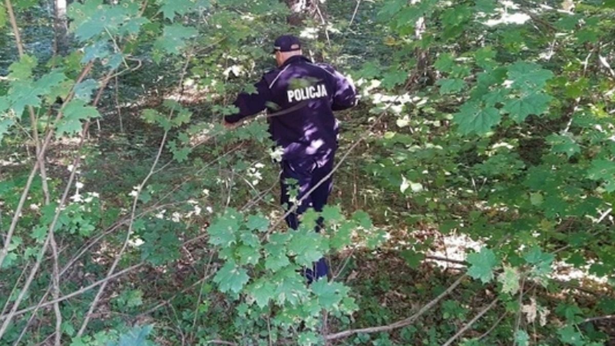 Zdjęcie ilustracyjne. 