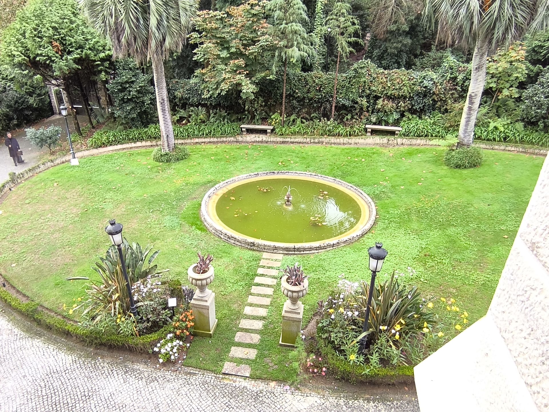 Zieleń jest tutaj na każdym kroku