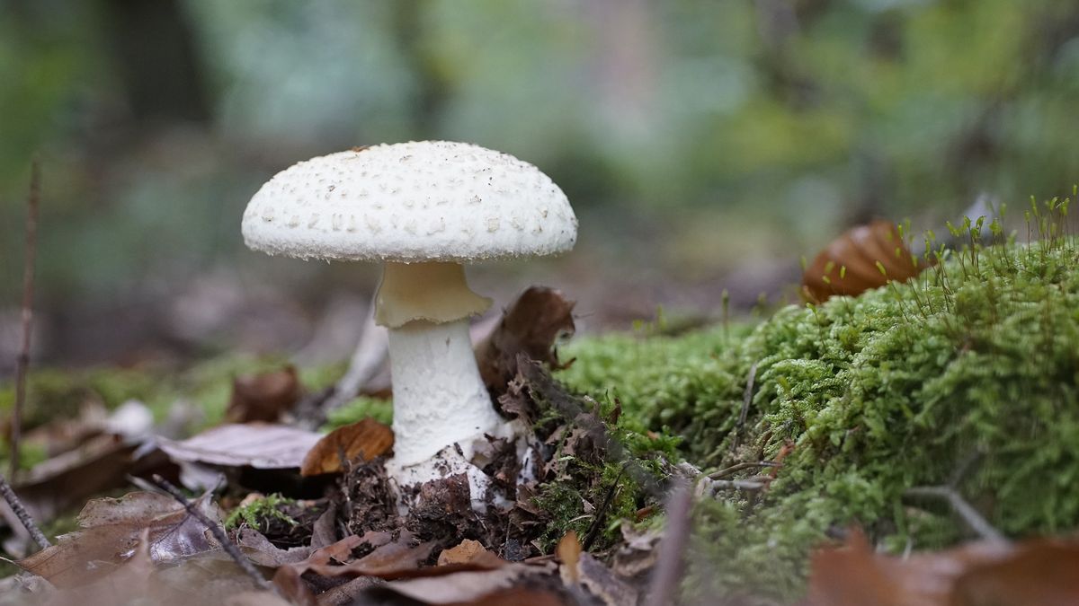 Zdjjęcie ilustracjne