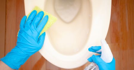 Wrzuć jedną sztukę do toalety. Wyżre cały brud