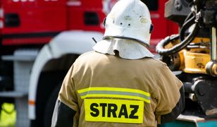 Pożar hali. Potwierdziły się najgorsze informacje