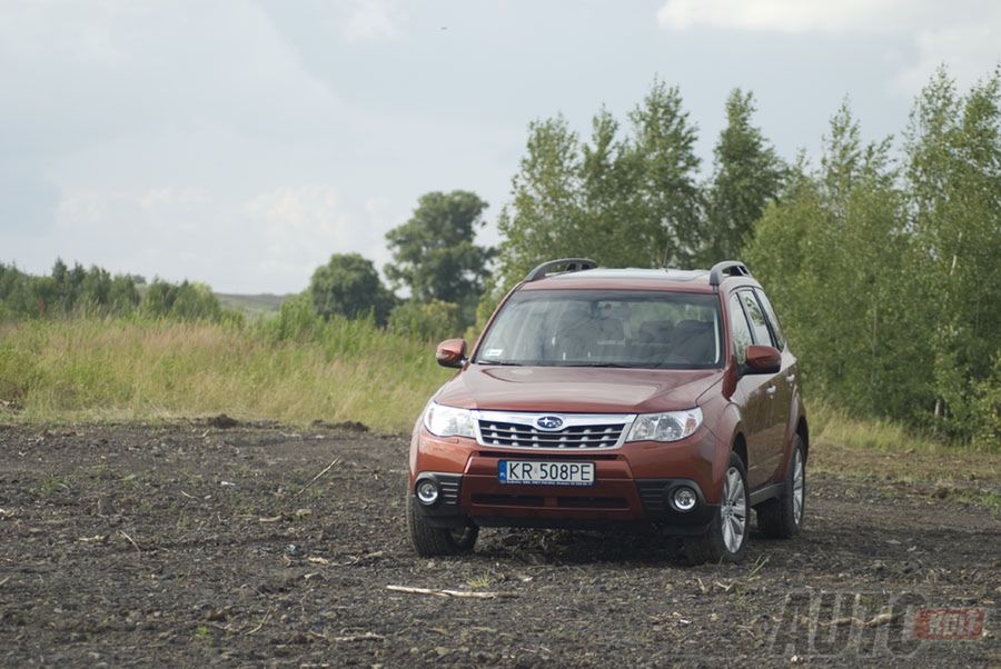 Subaru Forester (fot. Justyna Dworaczek)