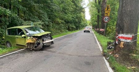 81-latek uderzył w drzewo. Wszystkiemu była winna pszczoła