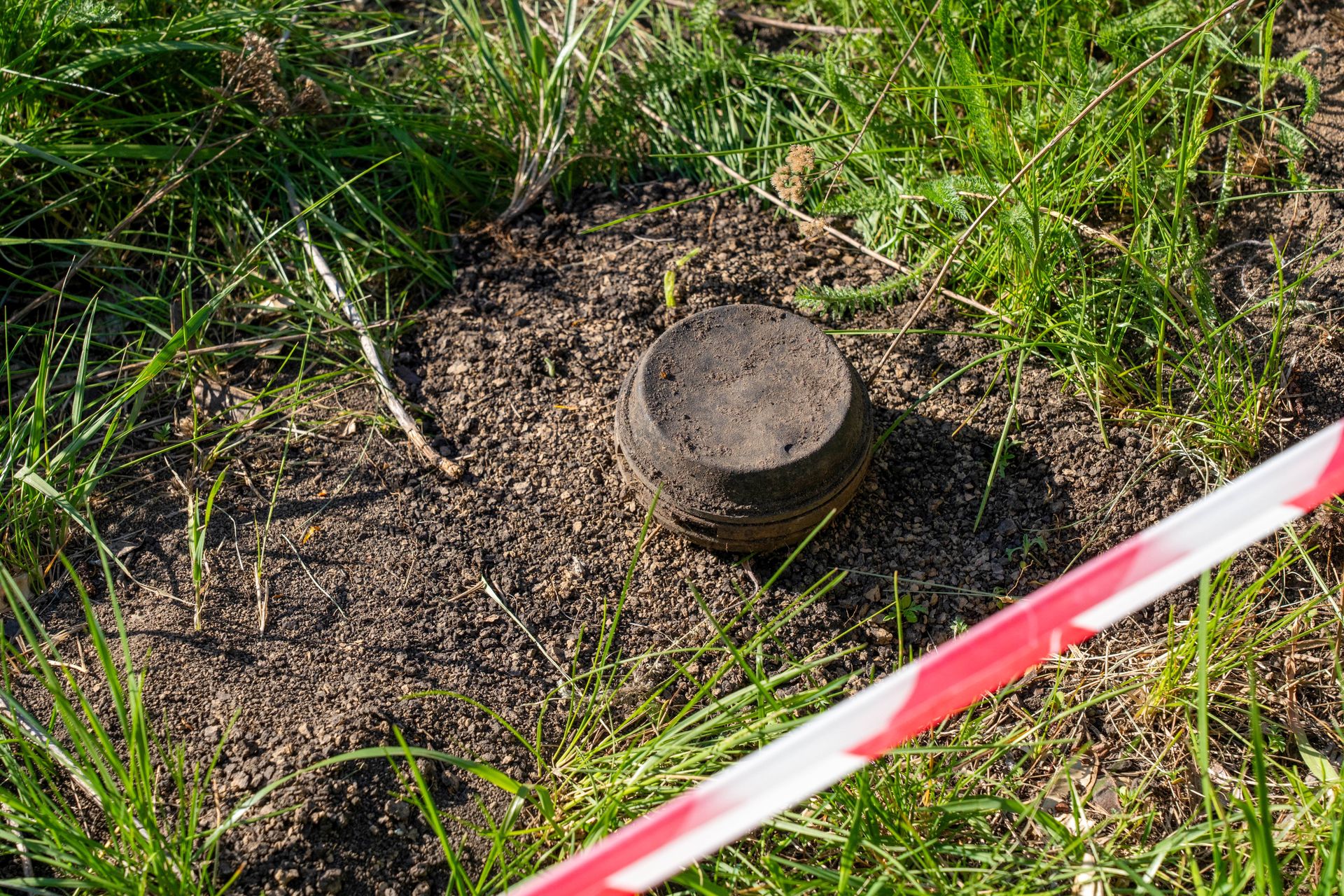 Mina przeciwpiechotna w ogrodzie. Saperzy zjawili się na miejscu