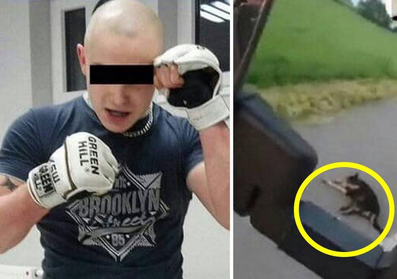 Syców. Bestialsko zamordował psa, przejeżdżając po nim kilka razy. Sąd zaostrzył mu karę