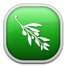 Olive Video Editor icon