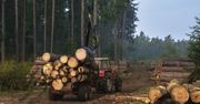 Niemcy wykupują polskie drewno opałowe? Niepokojące doniesienia