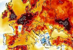 Pogoda zaskoczy. Jest prognoza na długi weekend