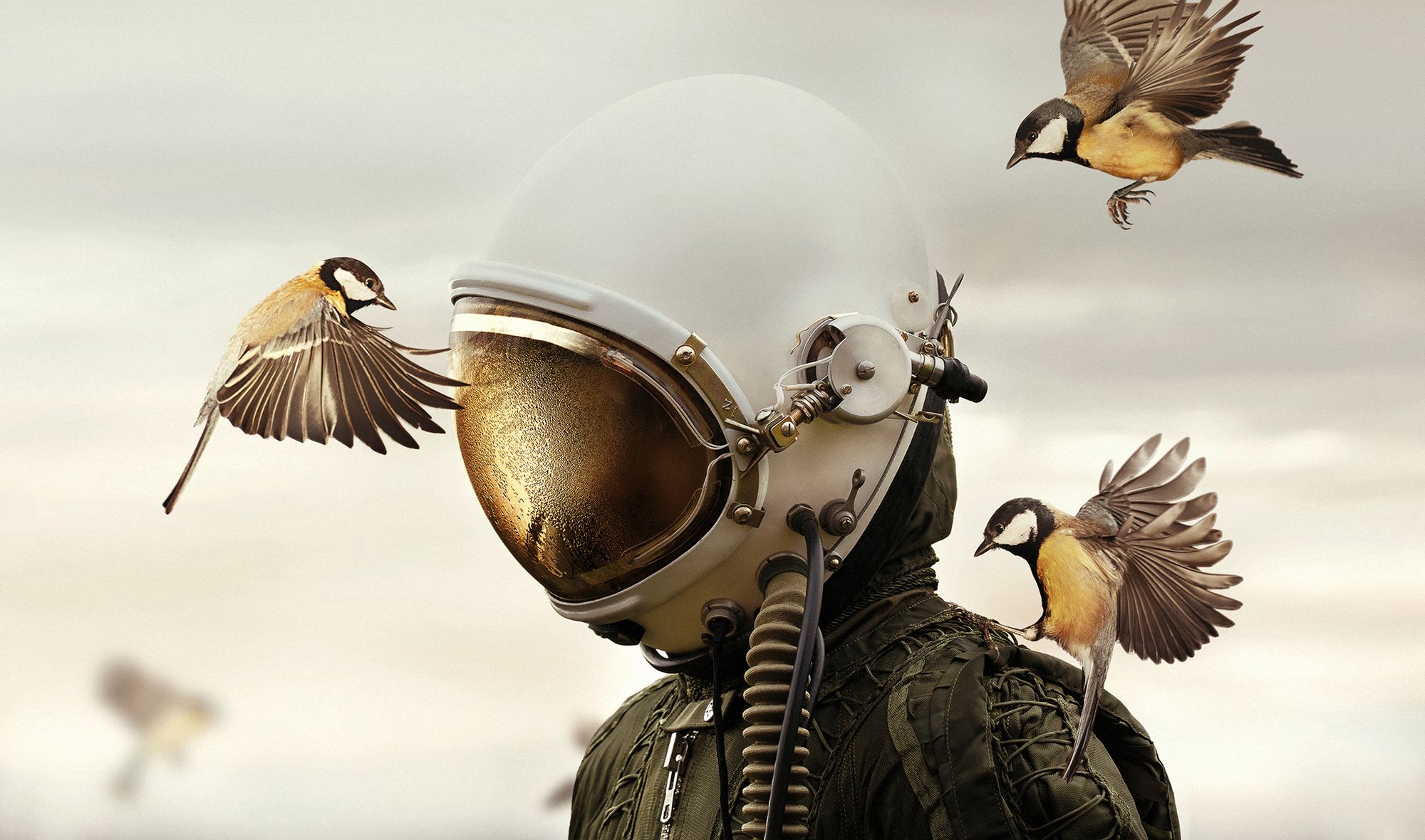 Piotr Leczkowski zwycięzcą polskiej edycji National Awards w Sony World Photography Awards 2019 26