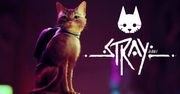 Stray z kategorią 12+. Premiera gry coraz bliżej