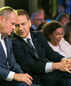 Sikorski zastąpi Tuska? Zapytano Polaków