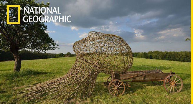 Cykl „Lubelskie? Naturalnie” w National Geographic