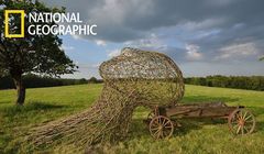 Cykl „Lubelskie? Naturalnie” w National Geographic